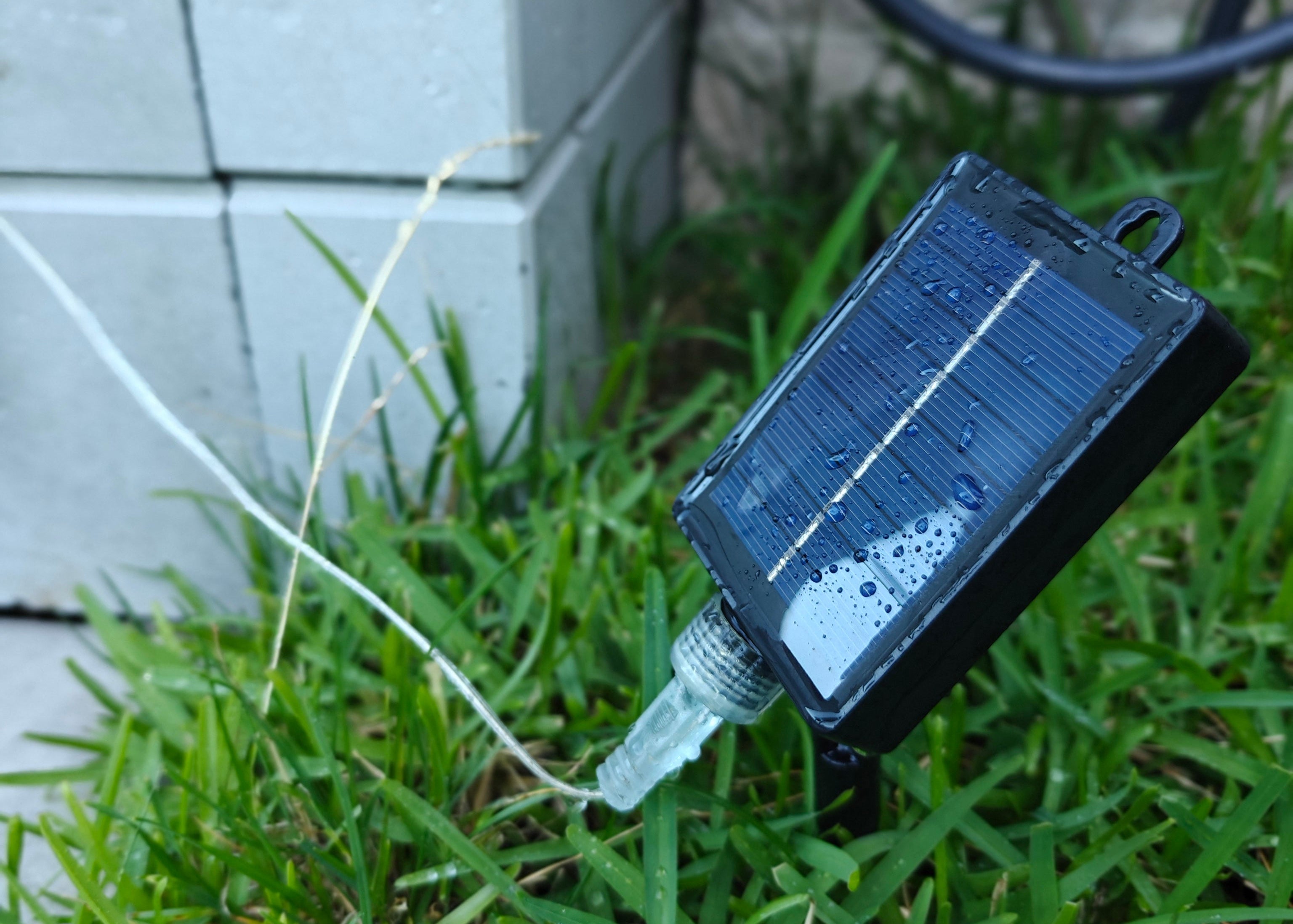 Solar LED String Light - Bulb